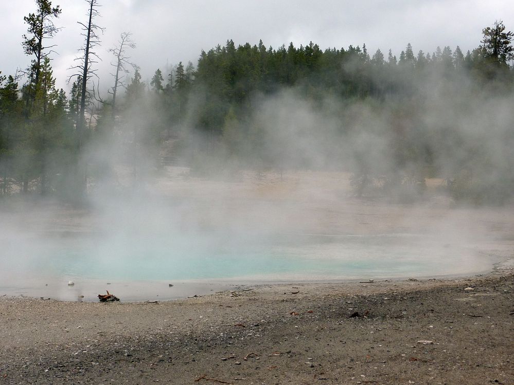 Yellowstone Norris Geyser (43).JPG